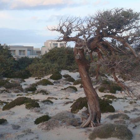 Double Bay Beach Hotel إيلافونيسوس المظهر الخارجي الصورة